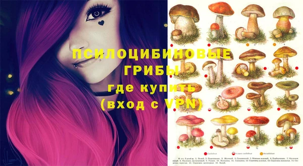 бутират Алексеевка