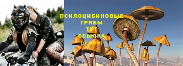 бошки Алексин